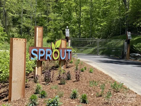 00000 New Sprout Lane Hendersonville NC 28792