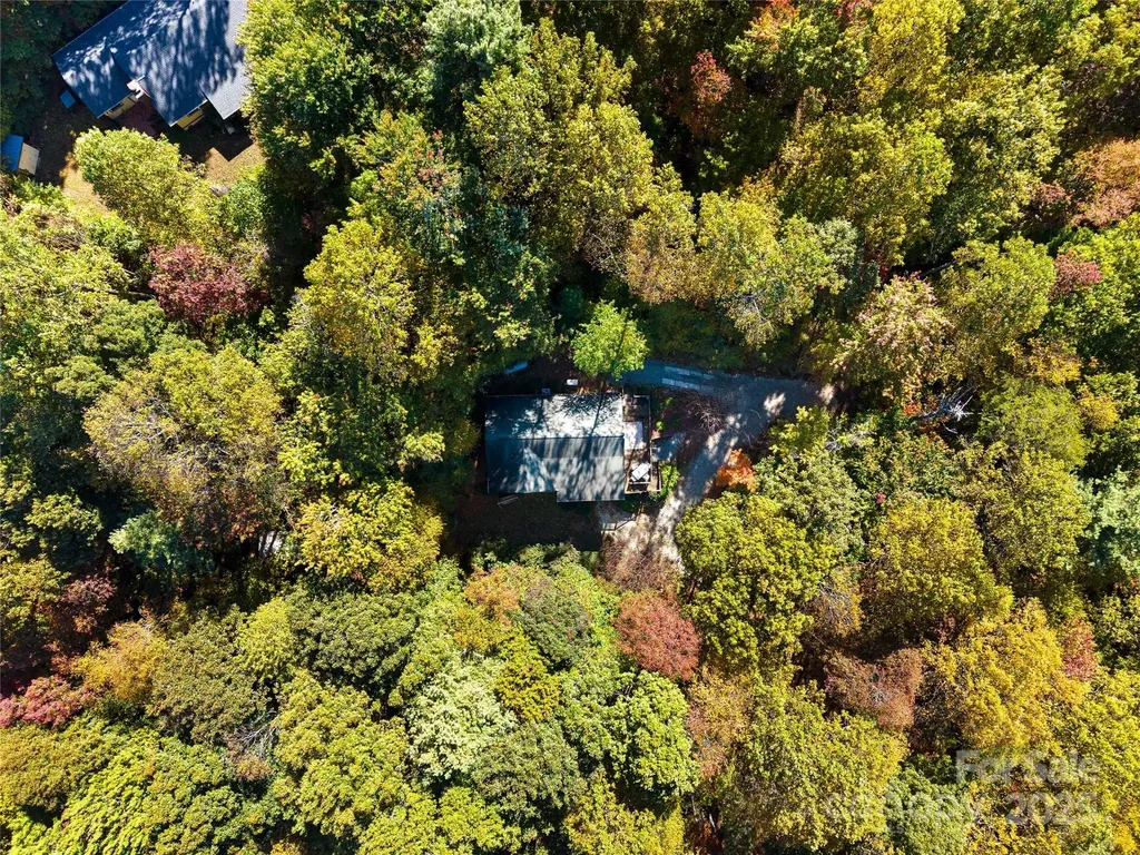 1308 Bell Mountain Road Zirconia NC 28790
