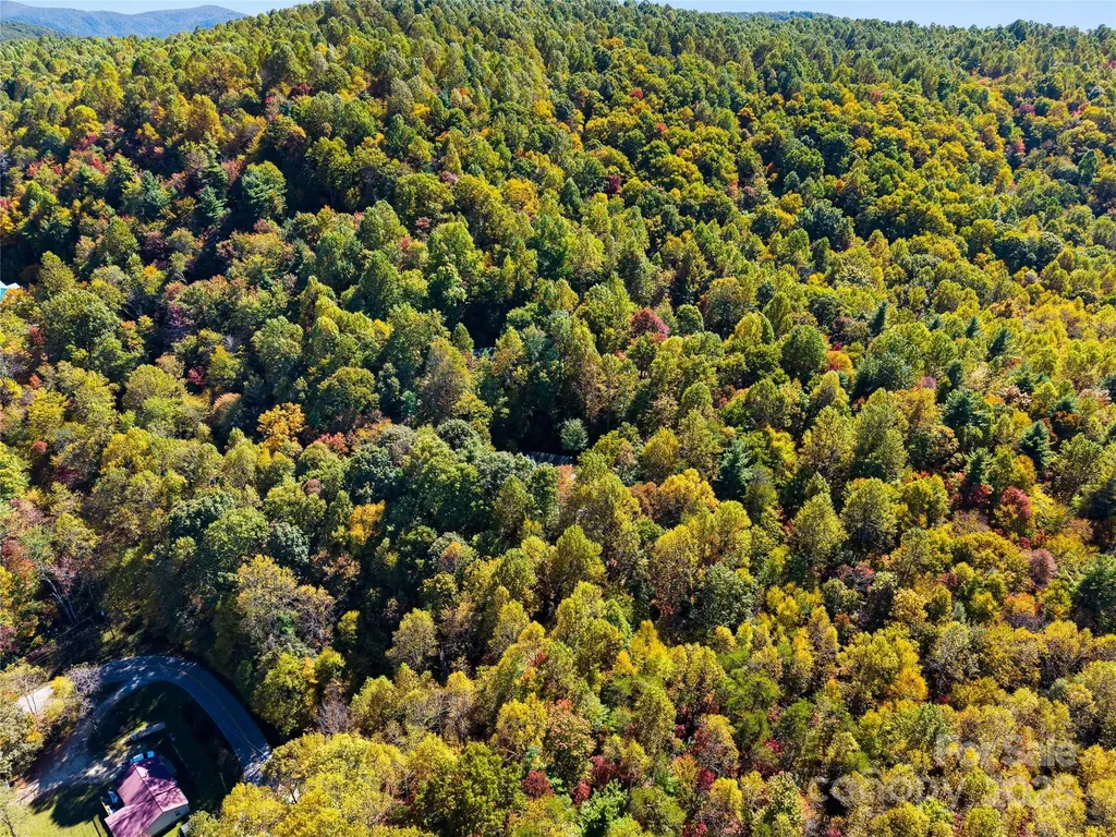 1308 Bell Mountain Road Zirconia NC 28790