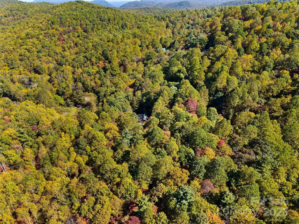1308 Bell Mountain Road Zirconia NC 28790