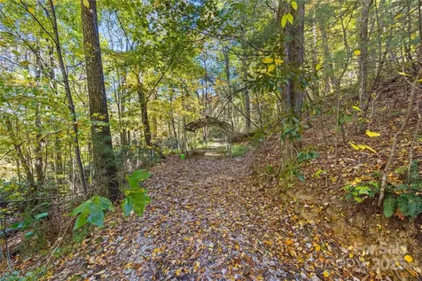 1308 Bell Mountain Road Zirconia NC 28790
