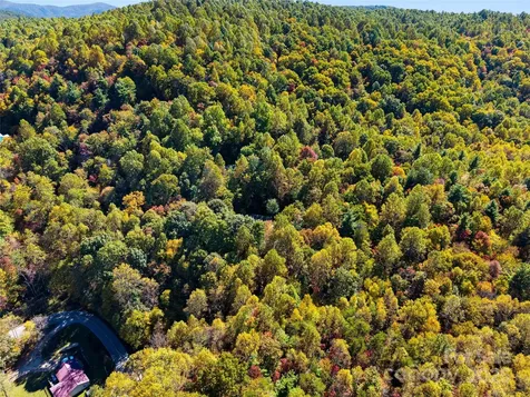 1308 Bell Mountain Road Zirconia NC 28790