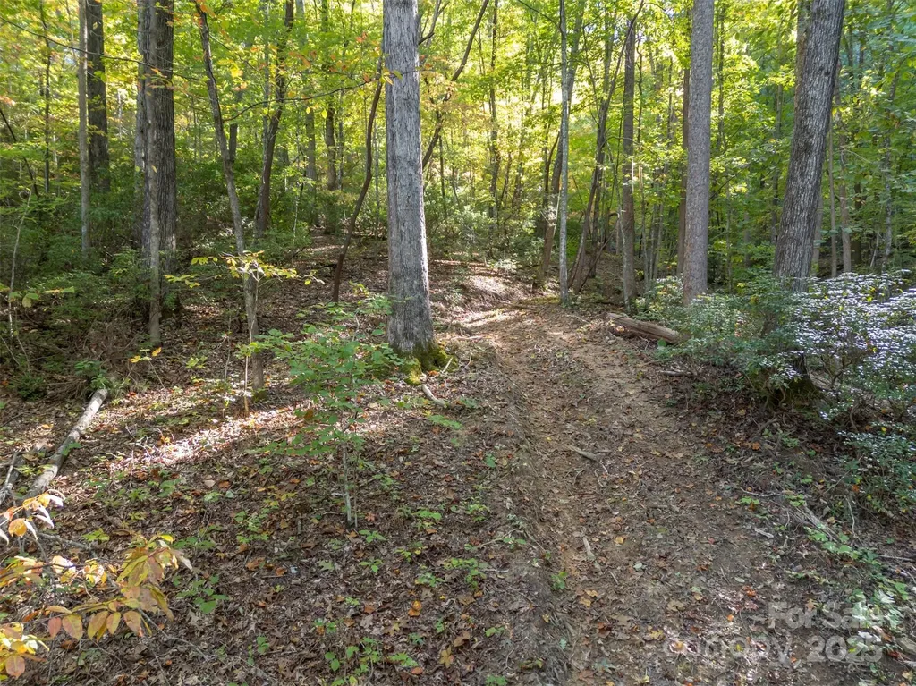 3298 Buffalo Creek Road Lake Lure NC 28746