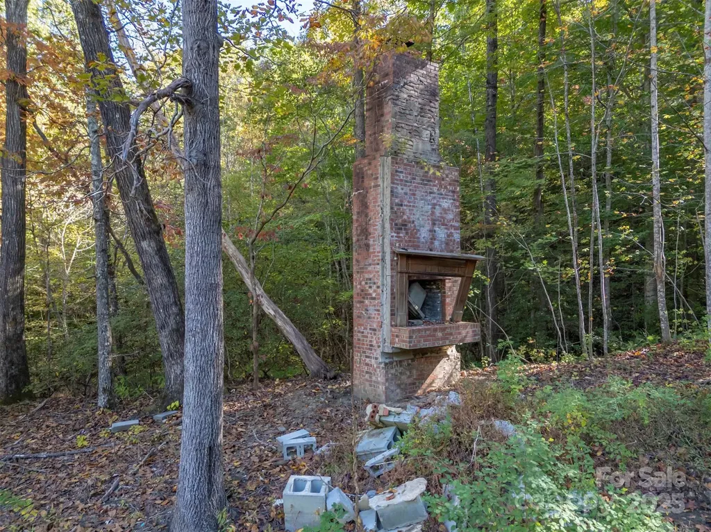 3298 Buffalo Creek Road Lake Lure NC 28746