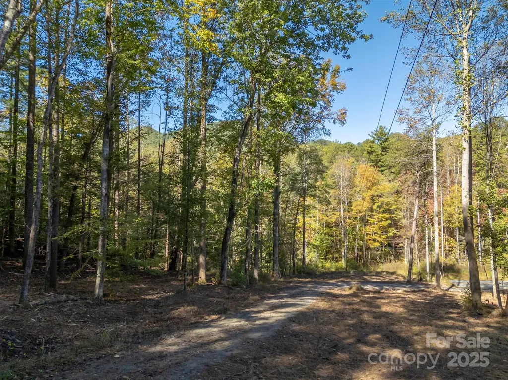 3298 Buffalo Creek Road Lake Lure NC 28746