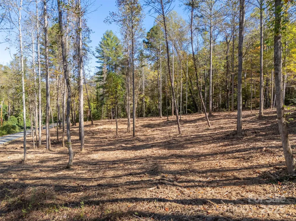3298 Buffalo Creek Road Lake Lure NC 28746