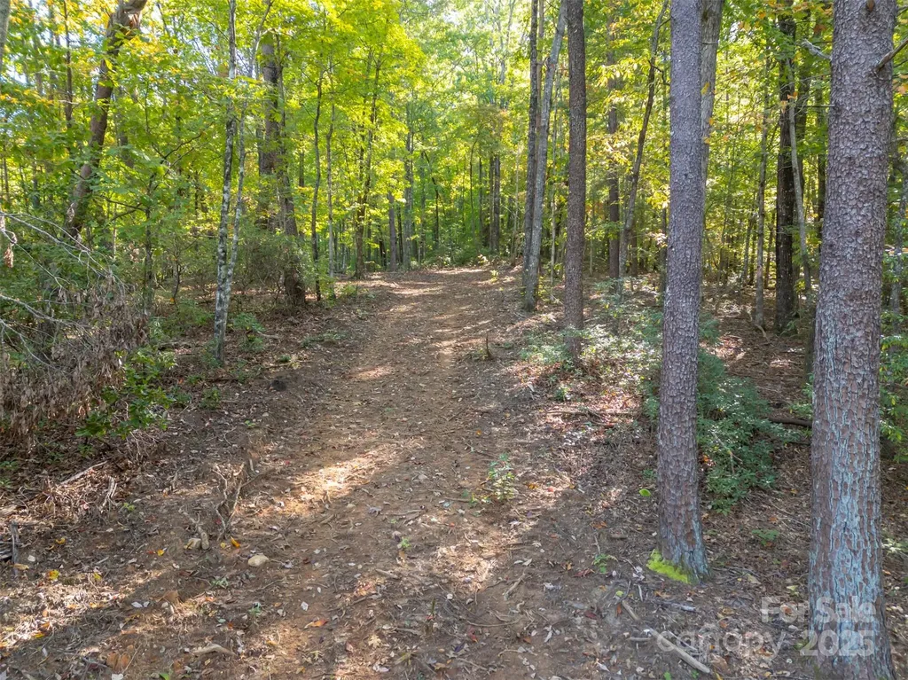 3298 Buffalo Creek Road Lake Lure NC 28746