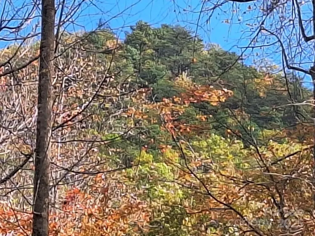 3298 Buffalo Creek Road Lake Lure NC 28746