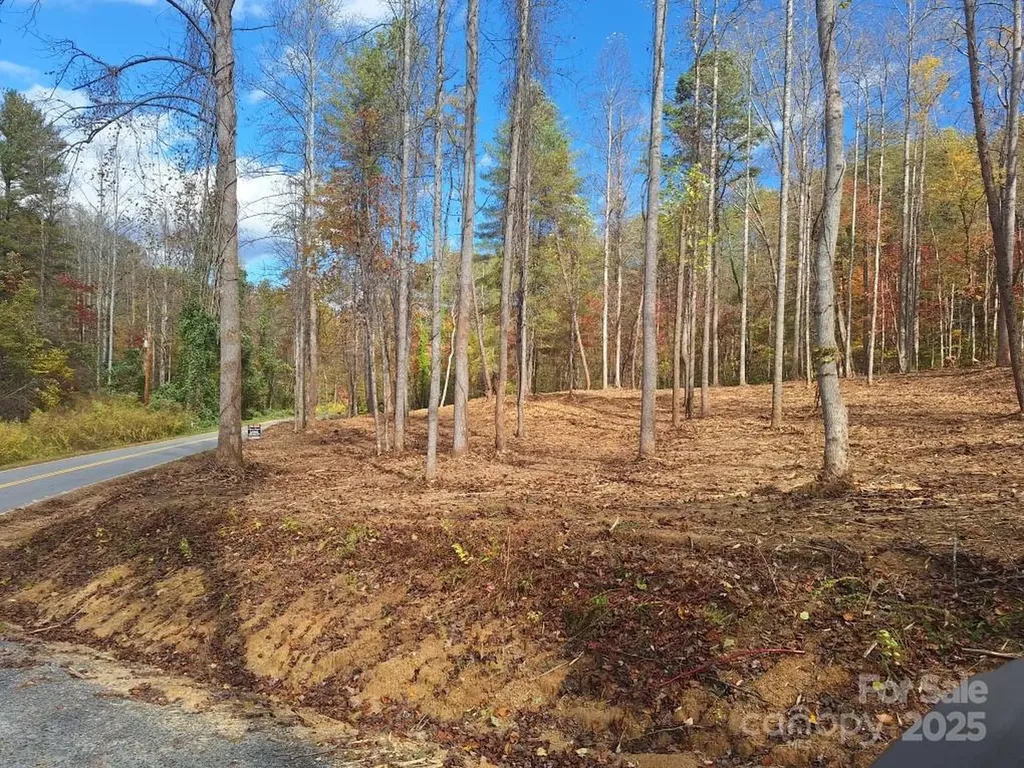3298 Buffalo Creek Road Lake Lure NC 28746