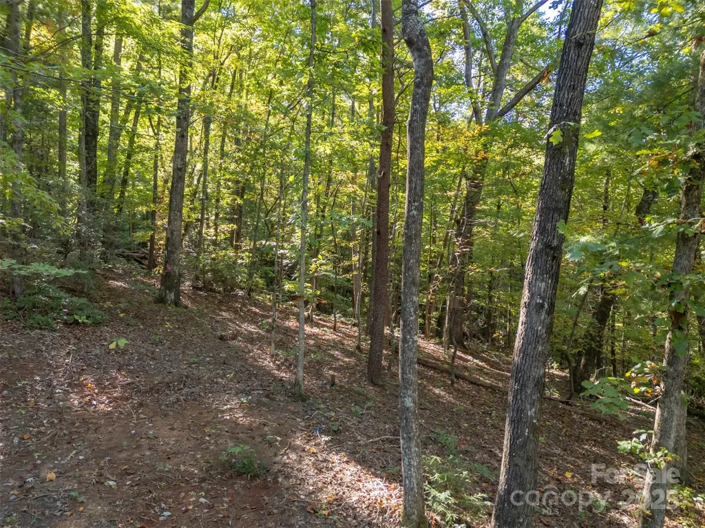 3298 Buffalo Creek Road Lake Lure NC 28746