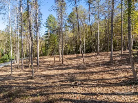 3298 Buffalo Creek Road Lake Lure NC 28746