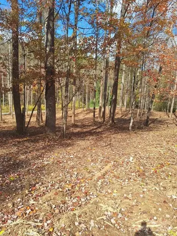 3298 Buffalo Creek Road Lake Lure NC 28746