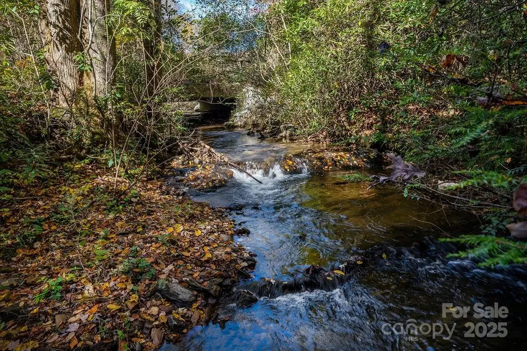 3761 Frozen Creek Road Brevard NC 28712