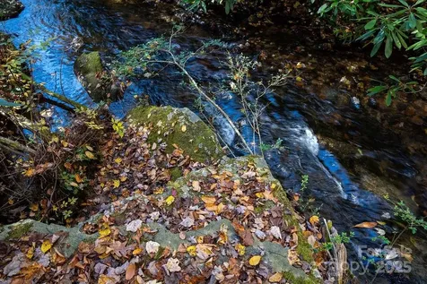 3761 Frozen Creek Road Brevard NC 28712