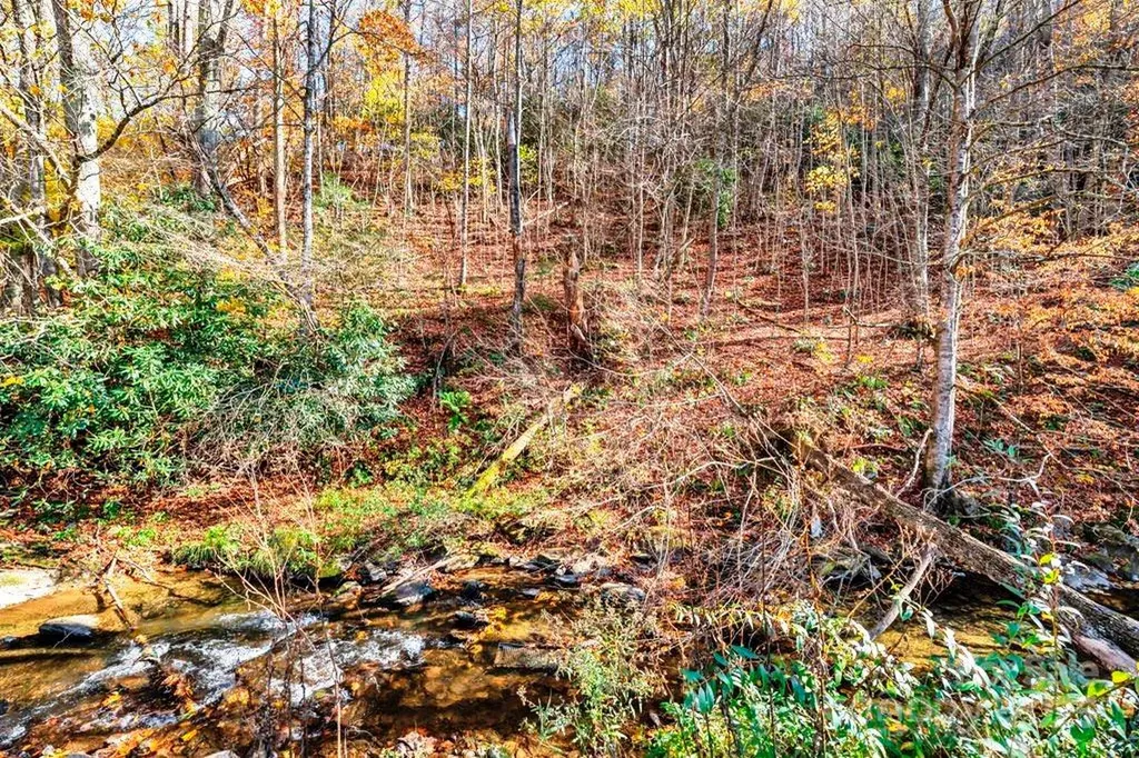 Tbd E Little Horse Creek Road Lansing NC 28643