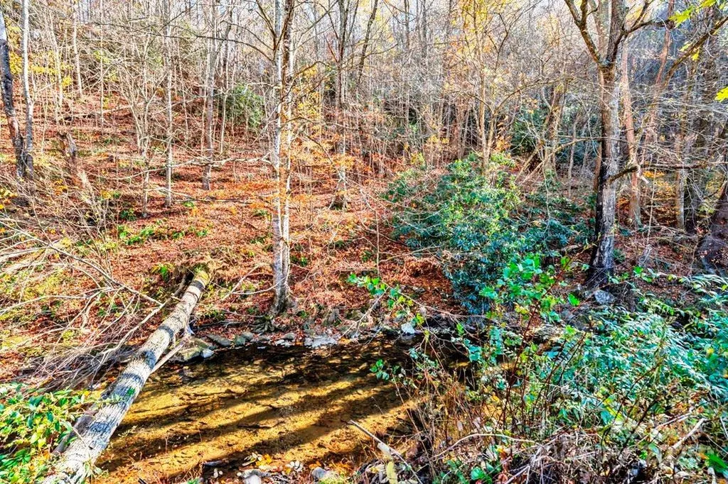 Tbd E Little Horse Creek Road Lansing NC 28643