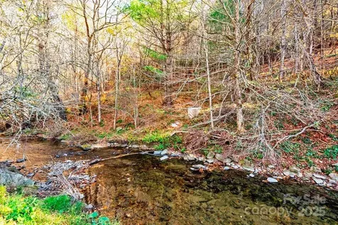 Tbd E Little Horse Creek Road Lansing NC 28643