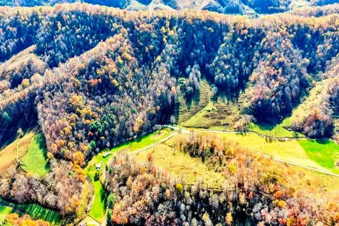 Tbd E Little Horse Creek Road Lansing NC 28643