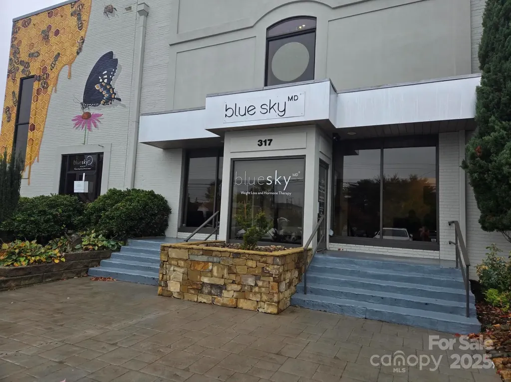 317 N King Street Hendersonville NC 28792