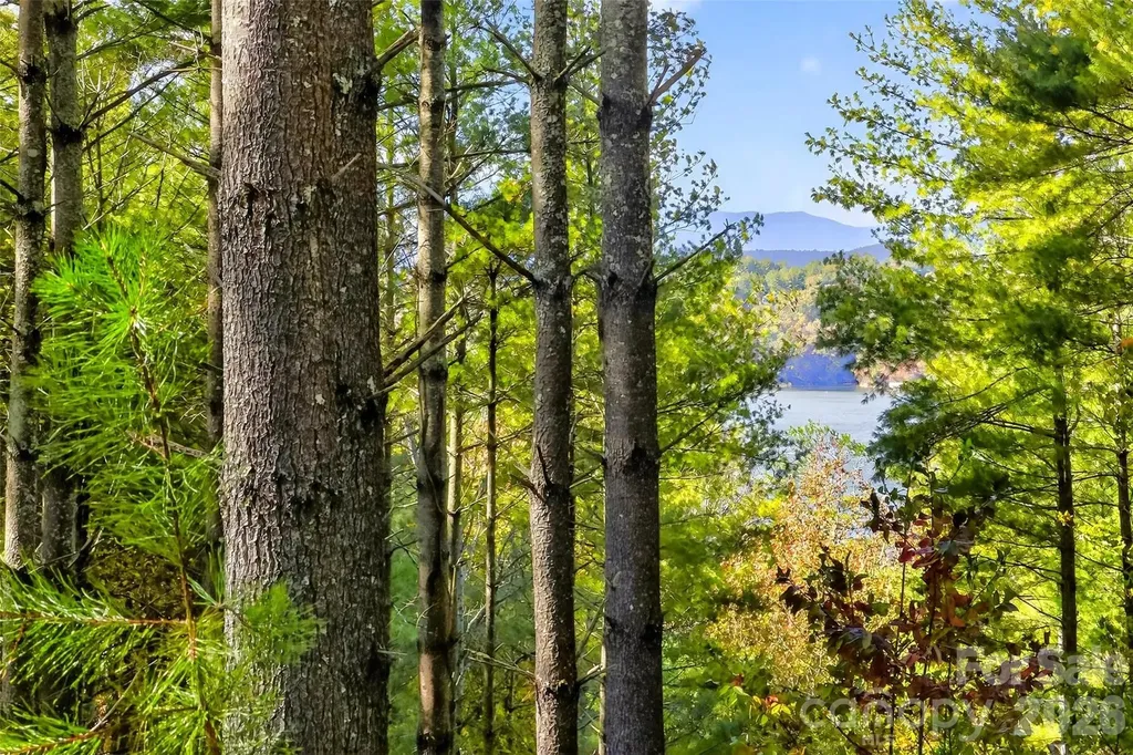 0 West Point Drive Nebo NC 28761
