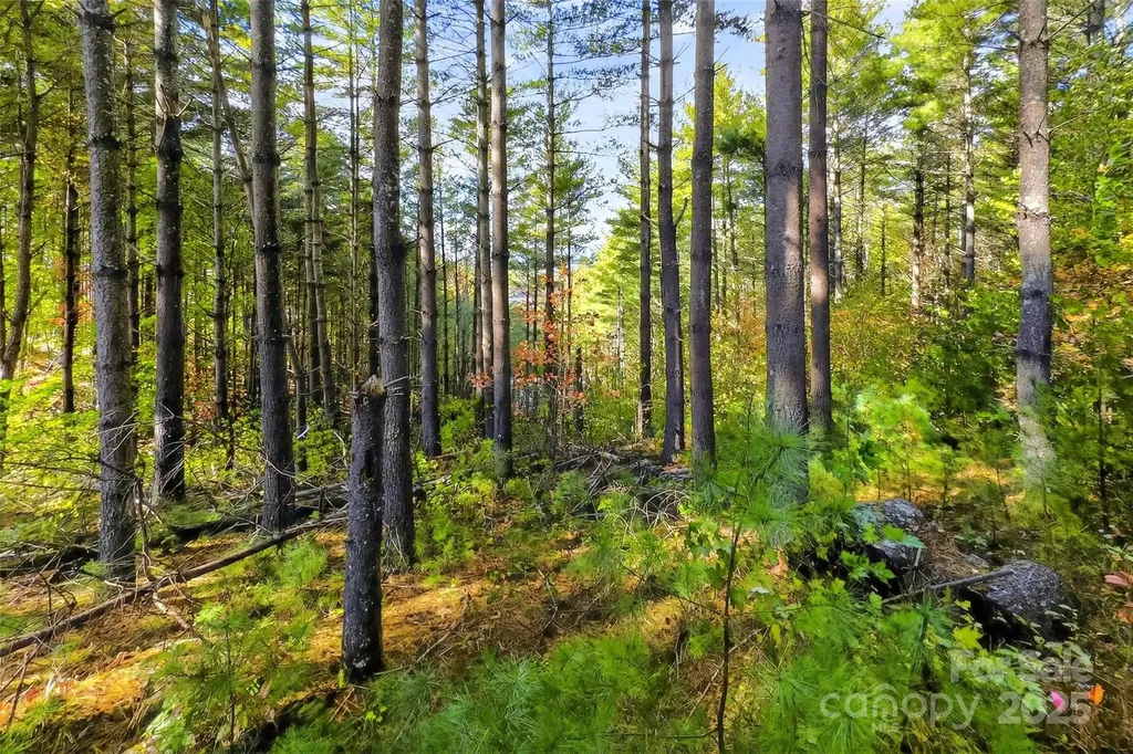 0 West Point Drive Nebo NC 28761