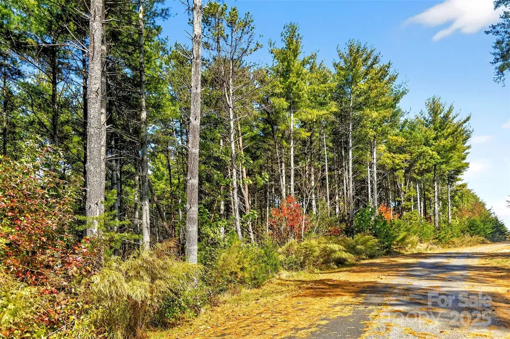 0 West Point Drive Nebo NC 28761