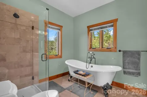 4092 Dense Acre Trail Nebo NC 28761