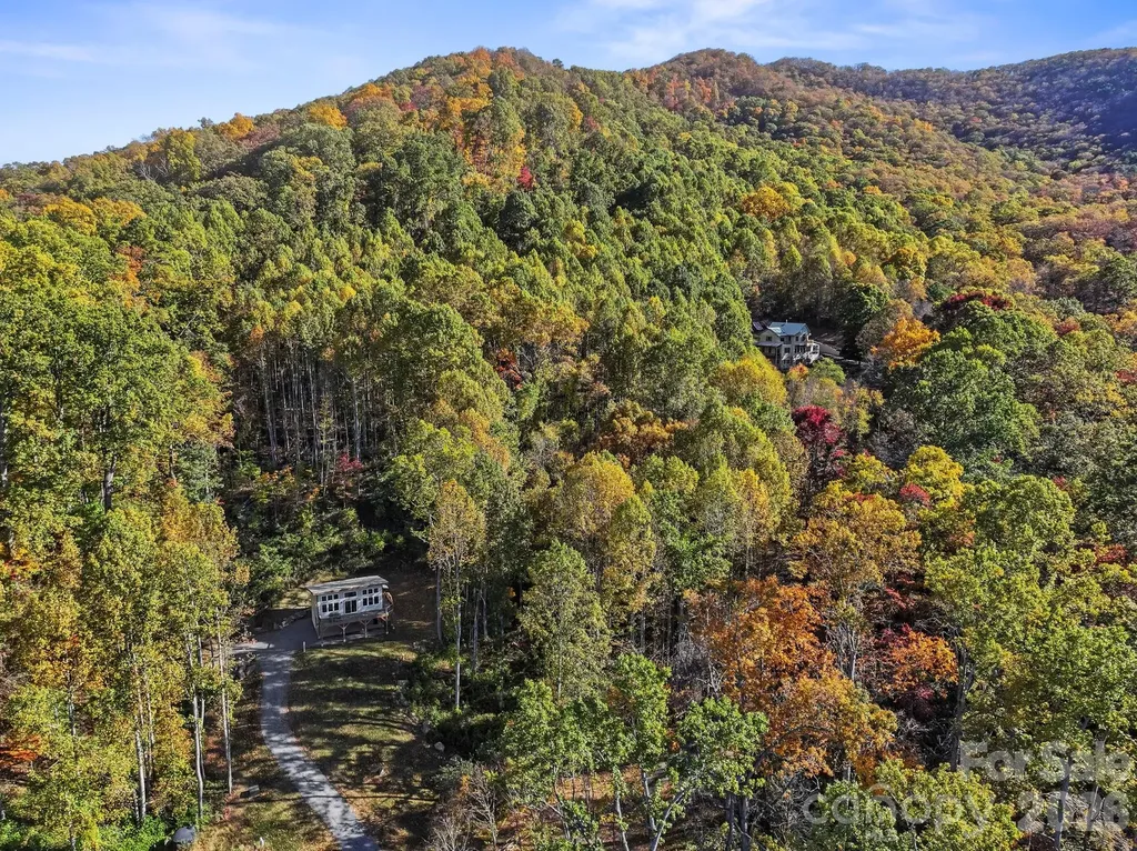 96 & 97 Old Cove Road Black Mountain NC 28711