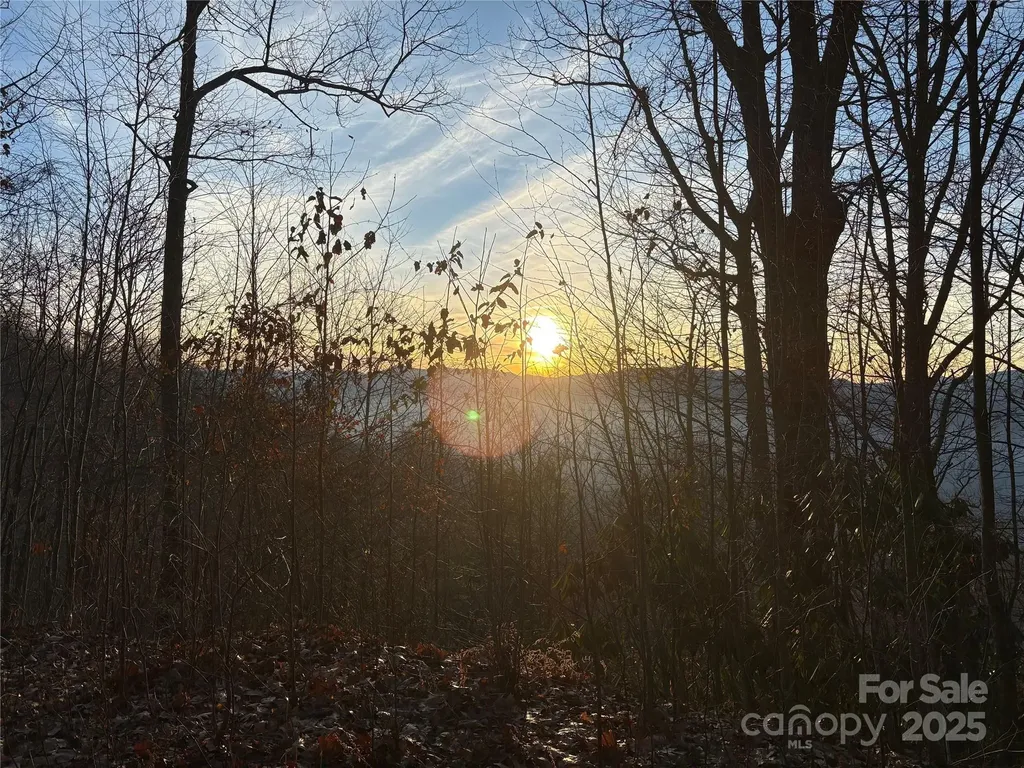 899 Hyacinth Drive Clyde NC 28721