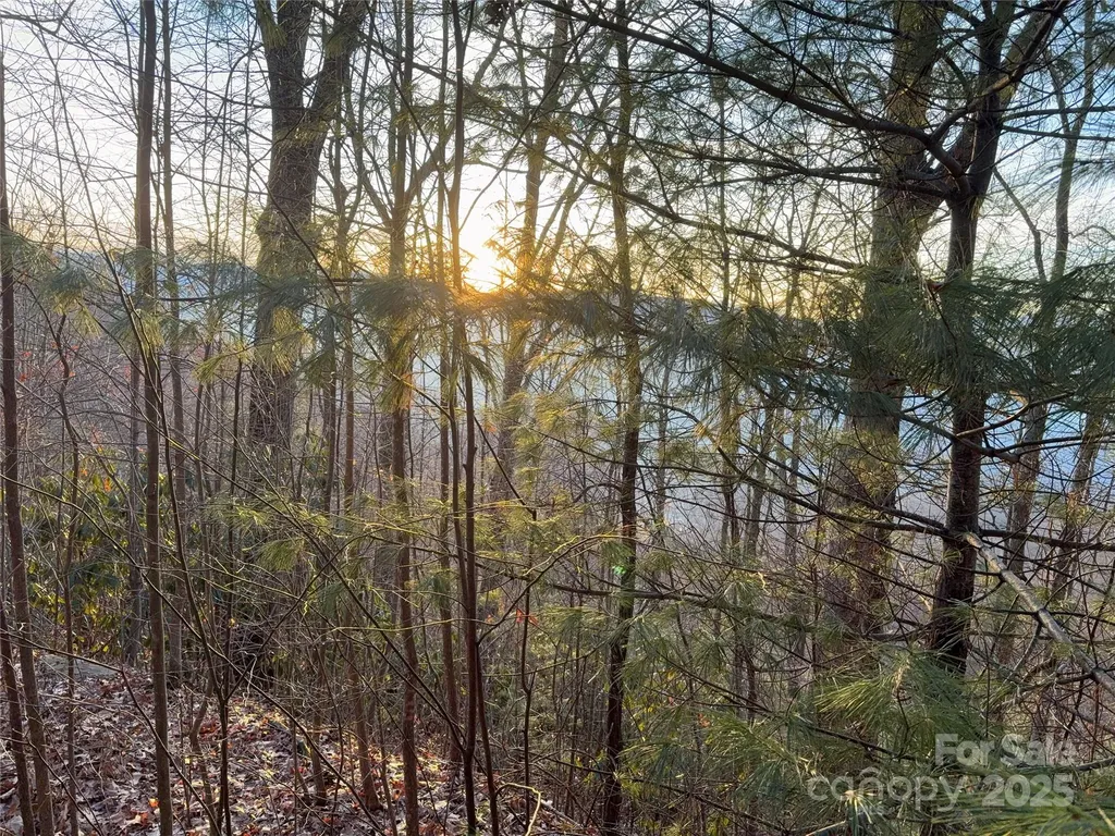899 Hyacinth Drive Clyde NC 28721