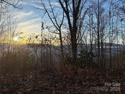 899 Hyacinth Drive Clyde NC 28721