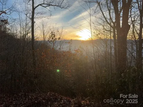 899 Hyacinth Drive Clyde NC 28721