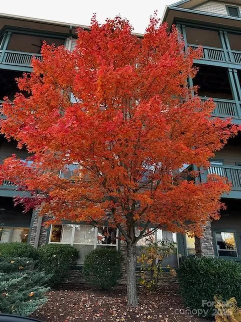 9 Kenilworth Knoll Asheville NC 28805