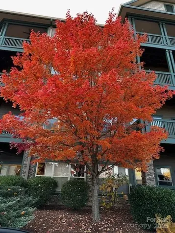 9 Kenilworth Knoll Asheville NC 28805