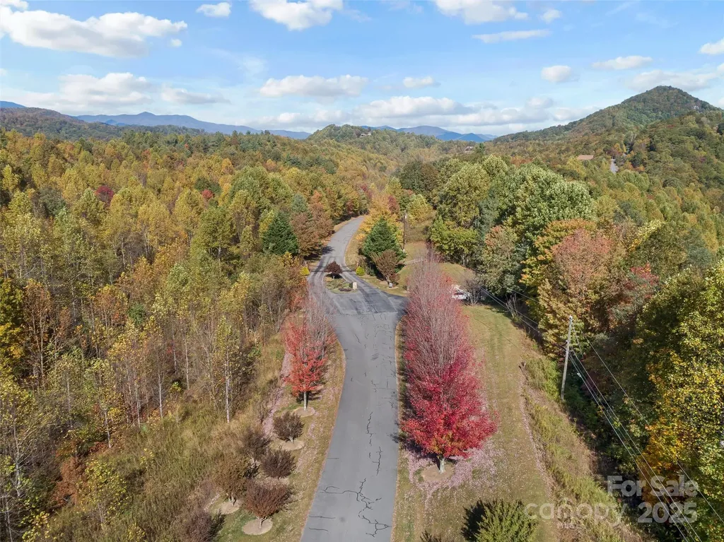 38 Attica Falls Trail Black Mountain NC 28711