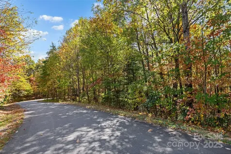 38 Attica Falls Trail Black Mountain NC 28711