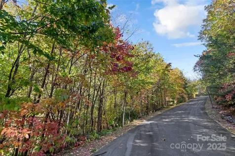 38 Attica Falls Trail Black Mountain NC 28711