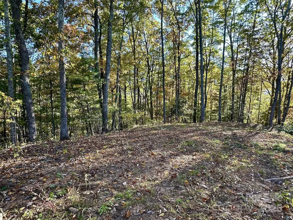 534 Cicada Drive Maggie Valley NC 28751