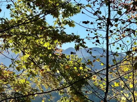 534 Cicada Drive Maggie Valley NC 28751