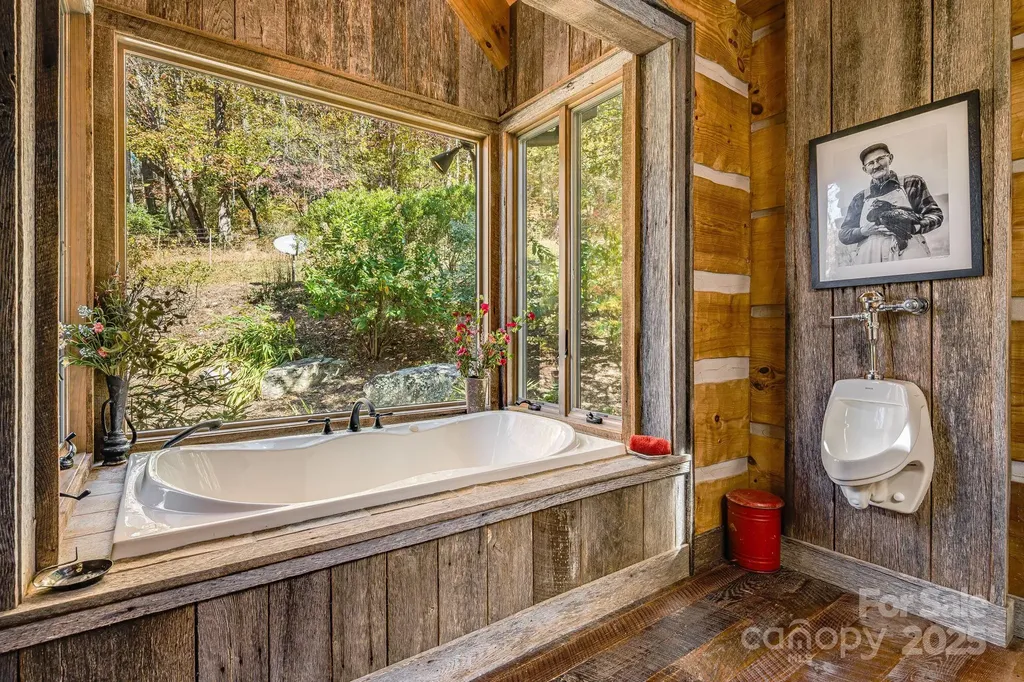 99 Thistle Ridge Canton NC 28716