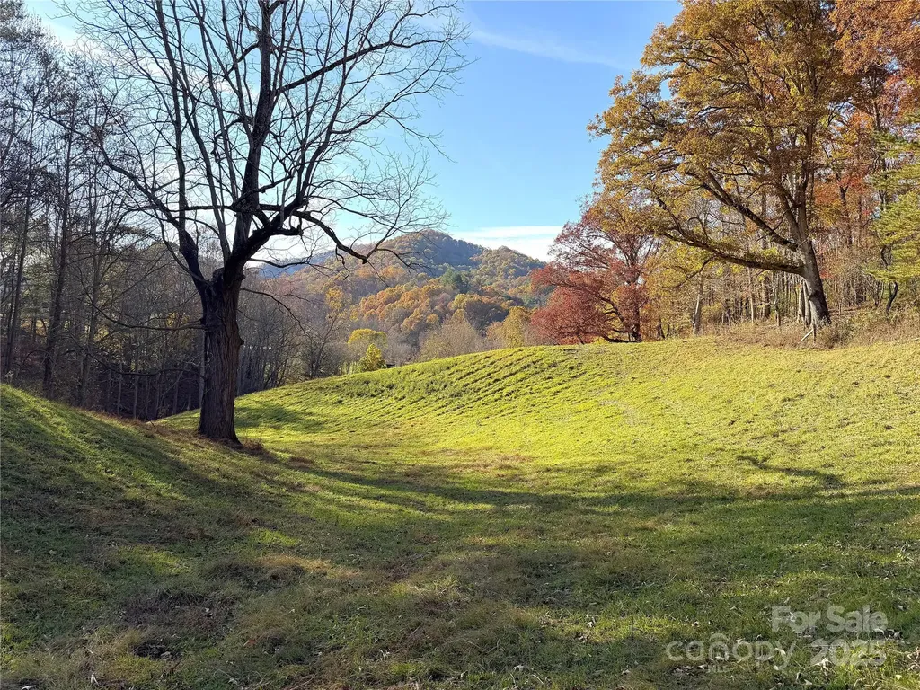 99 Thistle Ridge Canton NC 28716