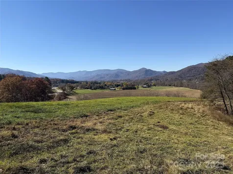 99 Thistle Ridge Canton NC 28716