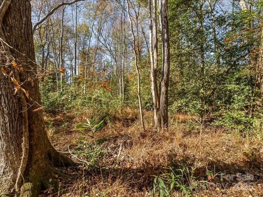 302 Winding Creek Drive Morganton NC 28655