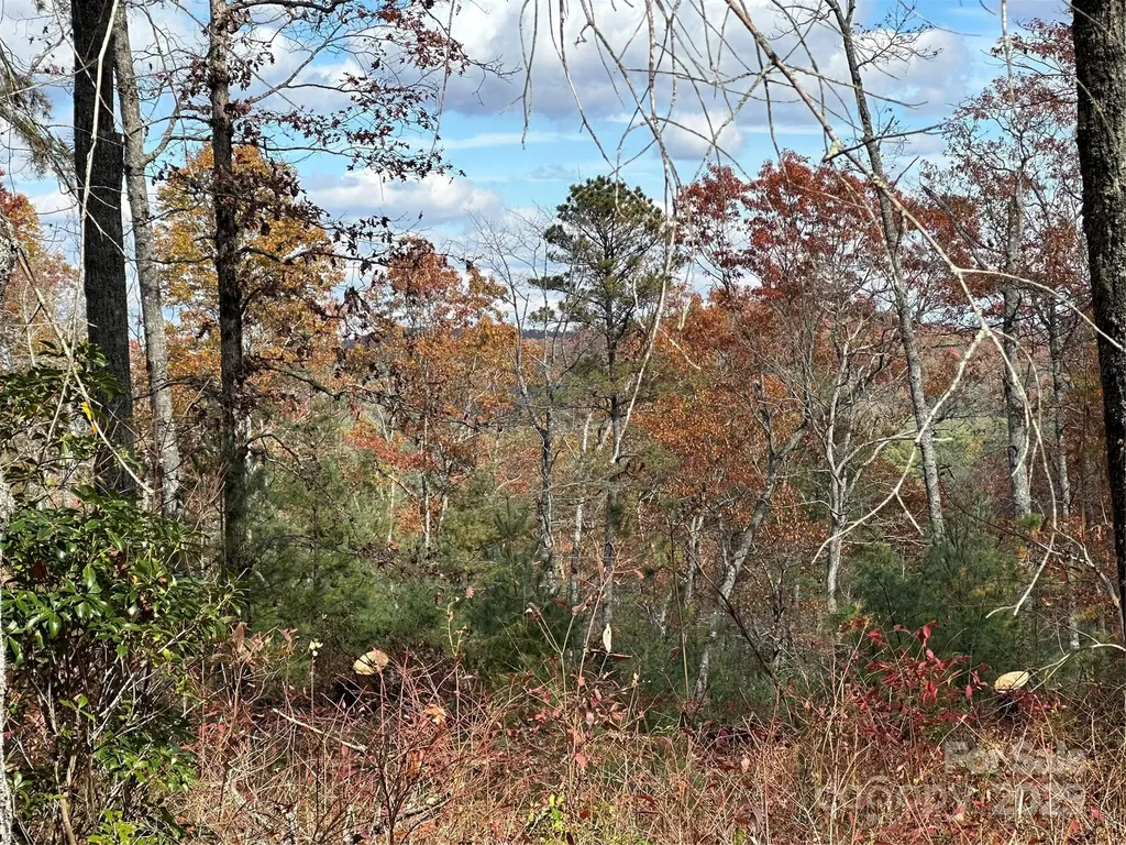 Lot 2-a Clearview Drive Cedar Mountain NC 28718