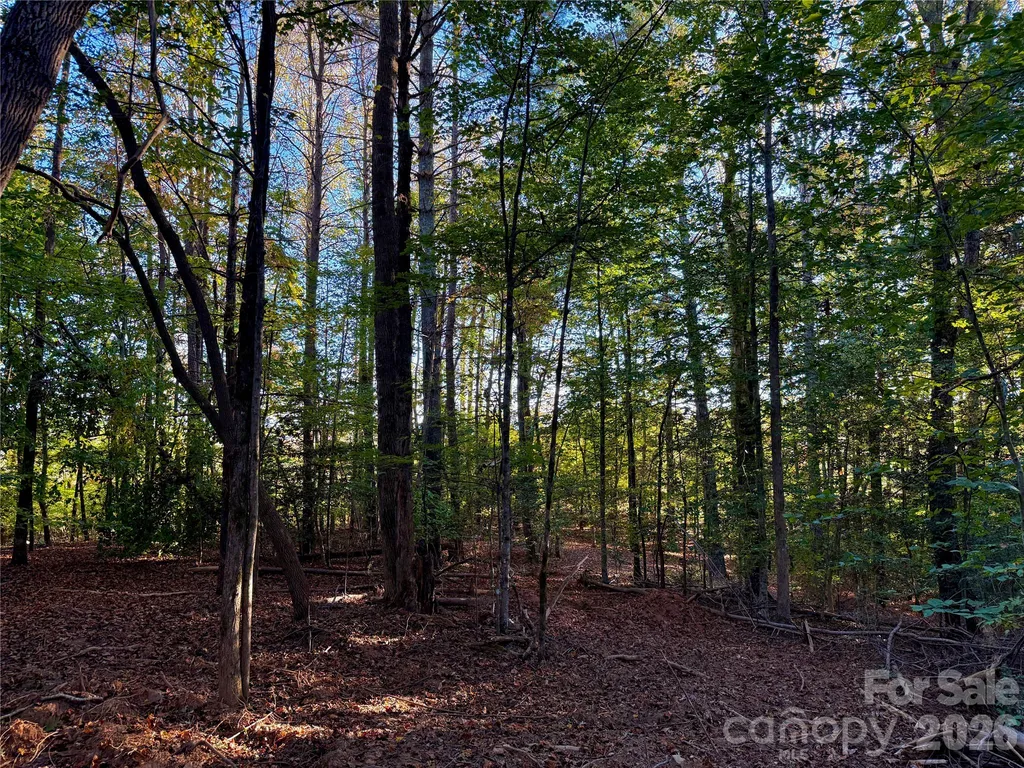 2800 Snipes Street Morganton NC 28655