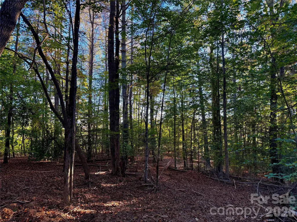2800 Snipes Street Morganton NC 28655