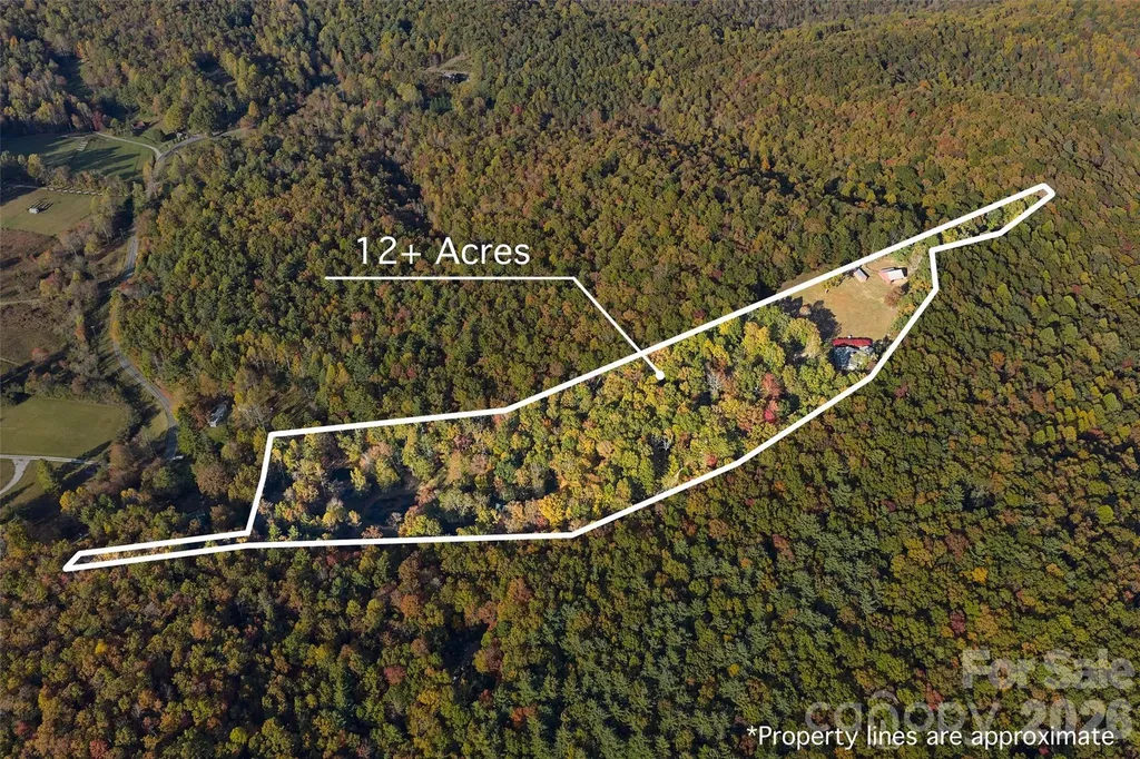 325, 141 & 75 Owl Haven Lane Cedar Mountain NC 28718