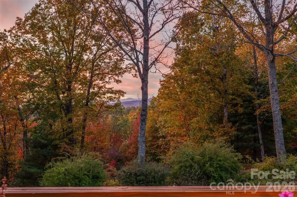 325, 141 & 75 Owl Haven Lane Cedar Mountain NC 28718