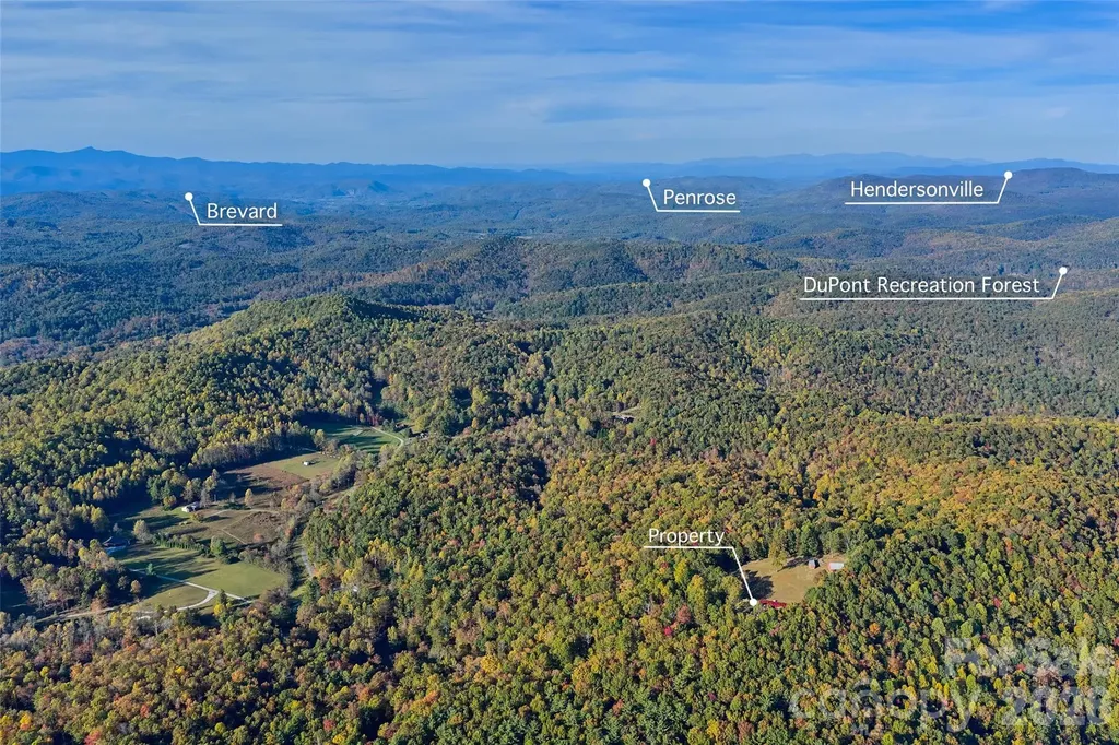 325, 141 & 75 Owl Haven Lane Cedar Mountain NC 28718