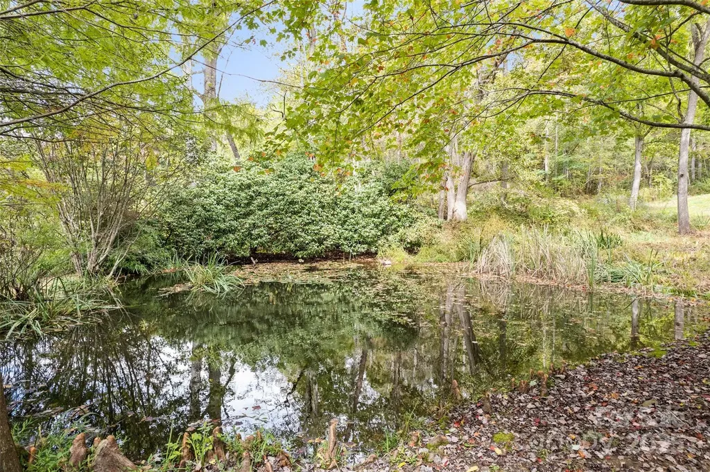 940 Haynes Cove Clyde NC 28721